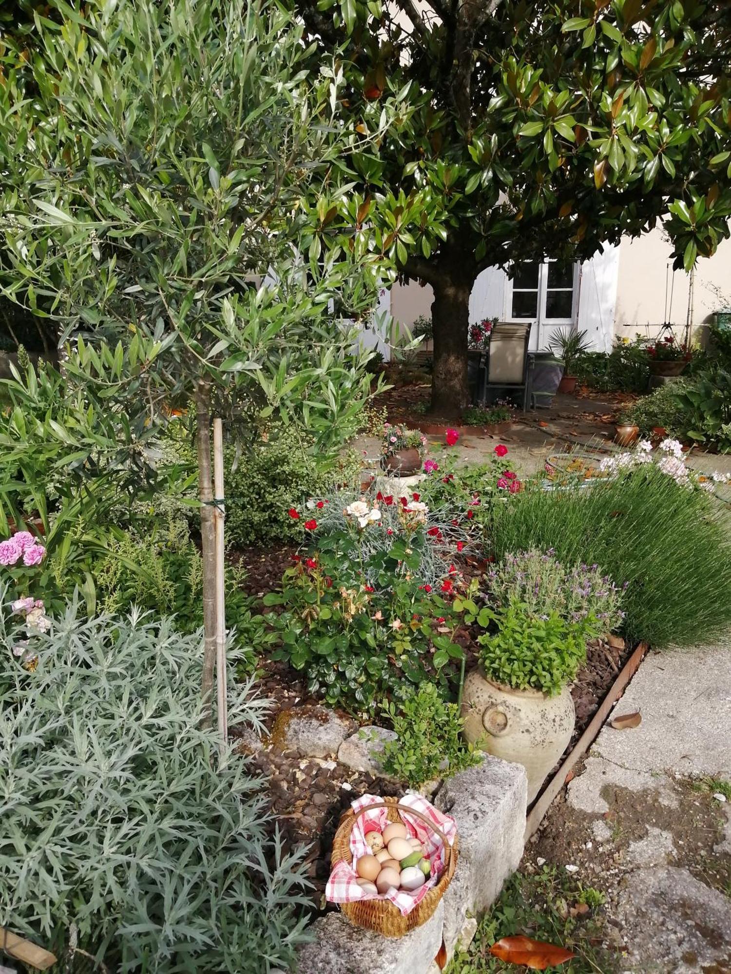 Au Logis De Vechillot Bed and Breakfast Ανγκουλέμ Εξωτερικό φωτογραφία